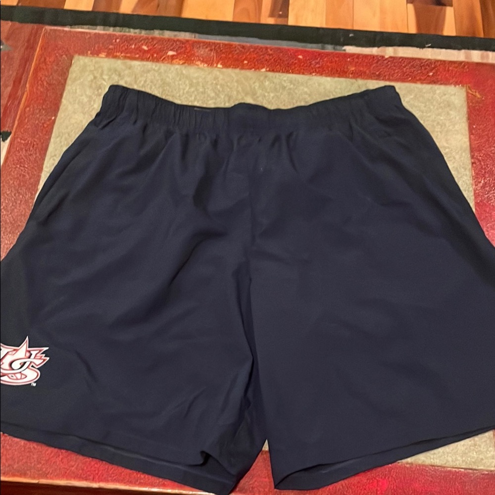 Nike Dark Blue Men's Athletic Shorts